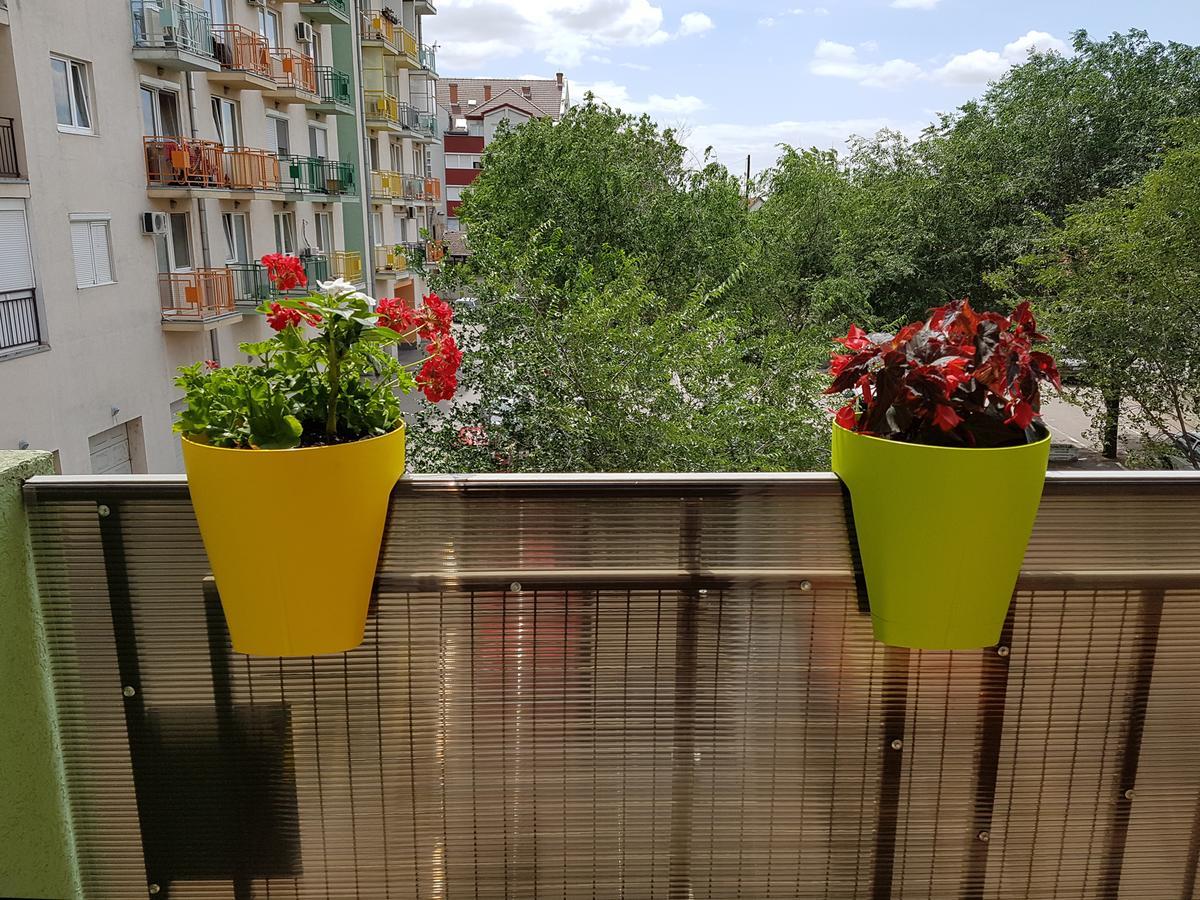 Apartman Boska スボティツァ エクステリア 写真
